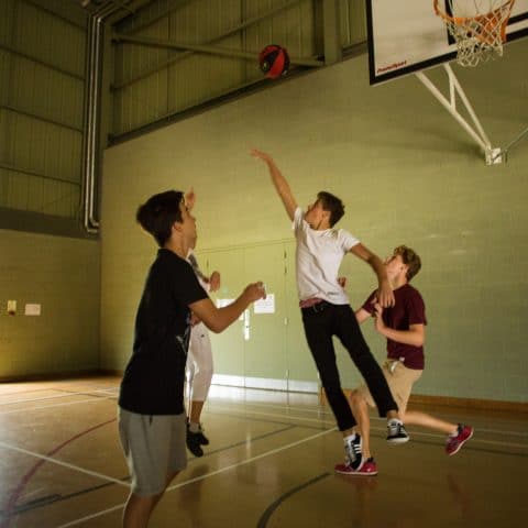 basket