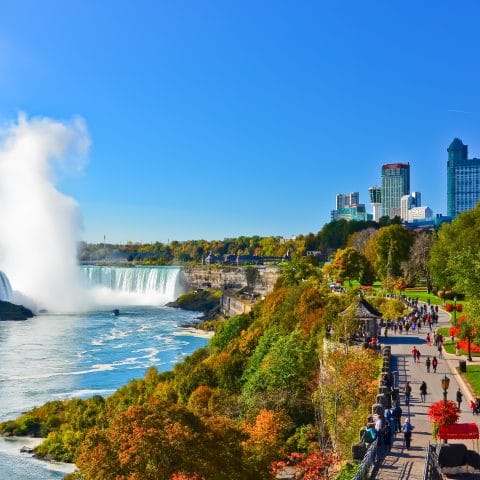 View of Niagara Falls on a sunny day
