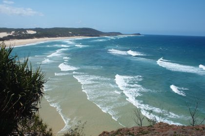 language-study-trip-to-Noosa