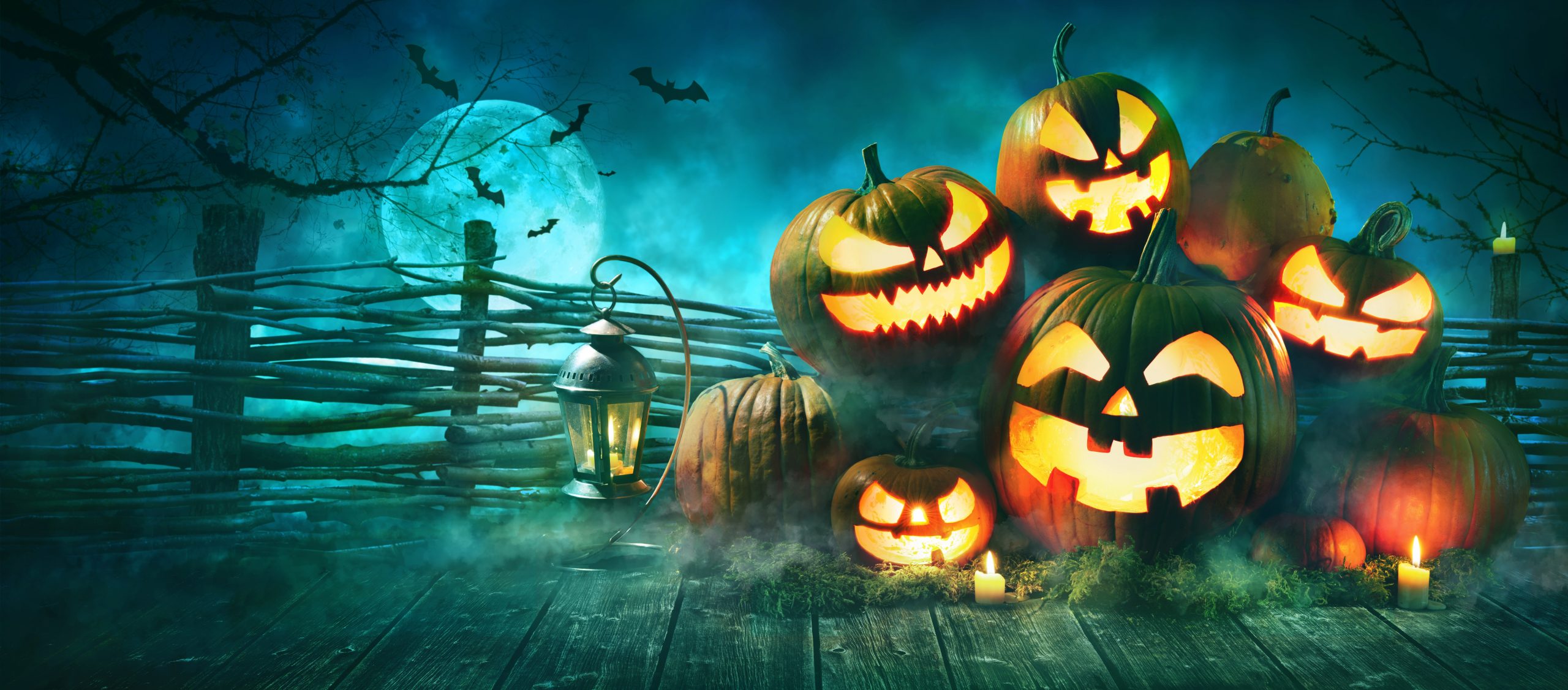  Halloween