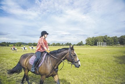 equitation activites loisirs