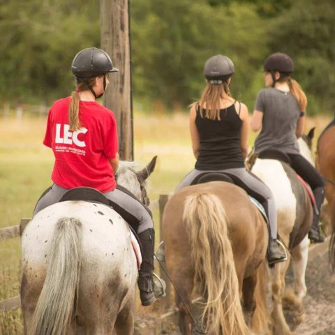 equitation