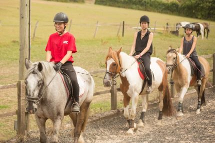 Activities & Recreation: Horseback Riding