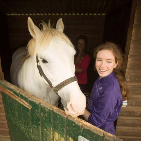 Equitation4