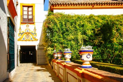 LEC Language Study Abroad Program in Spain - Andalusia