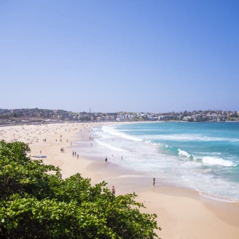 Bondi Beach, Australia sydney