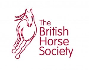british horse society s&eacute;jour linguistique &eacute;quitation