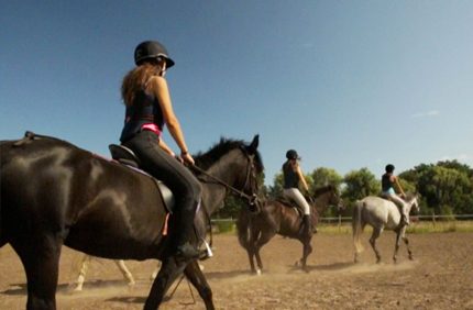 equitation2