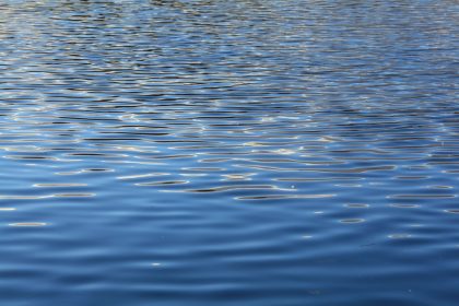 Language Study Trip to the Great Lakes in the USA