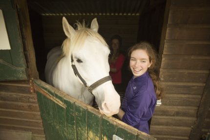 equitation activites loisirs