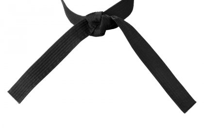 language_study_abroad_for_teens_in_the_usa_black_belt_lec